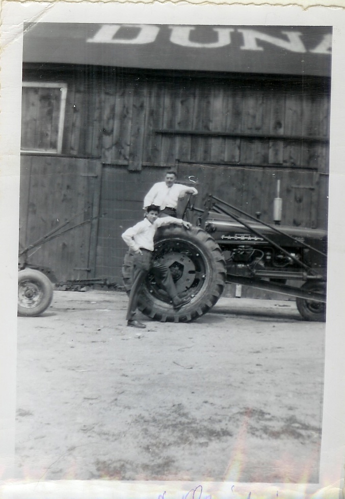 About Cupola Hollow Cupola Hollow Farm